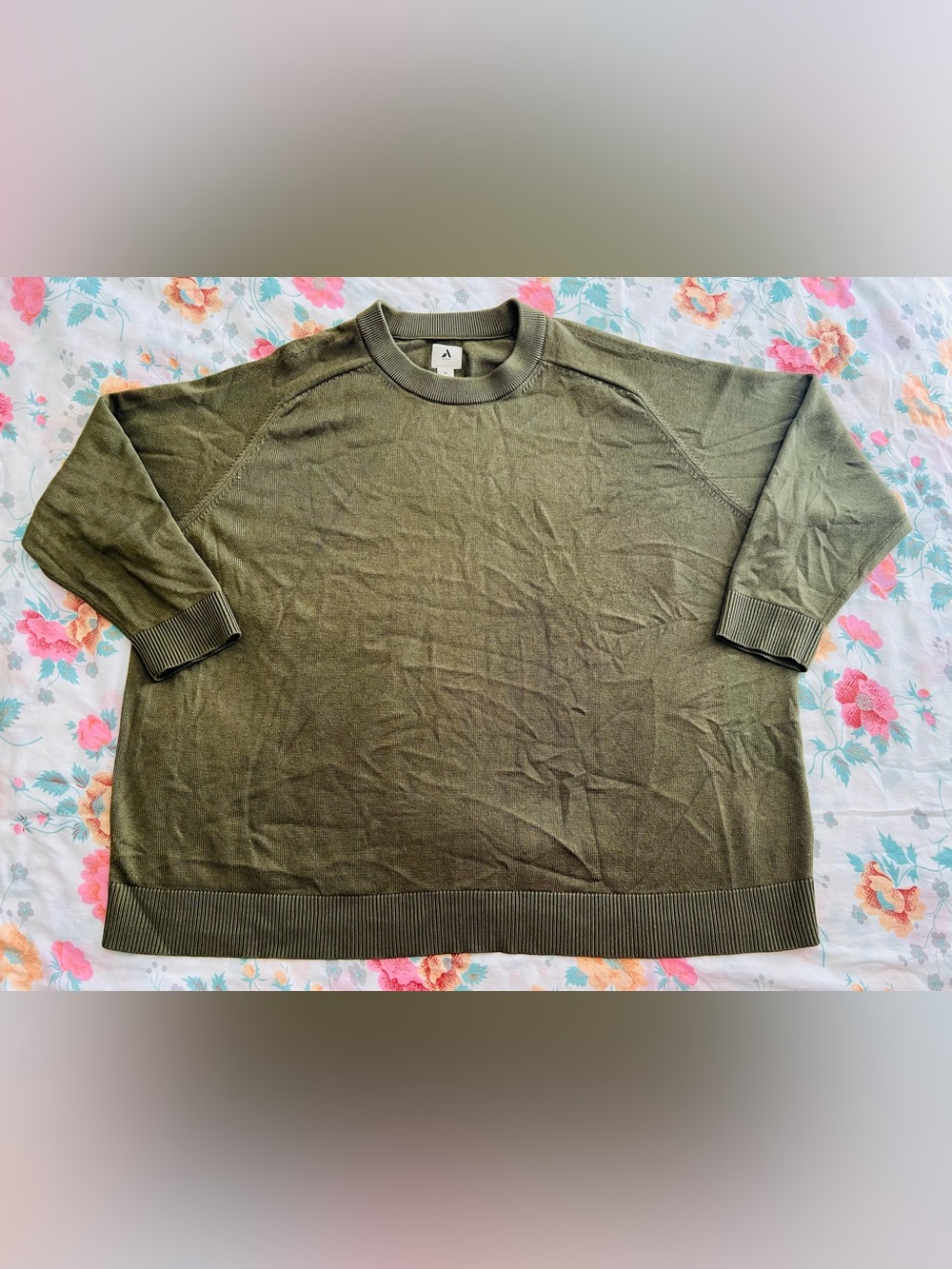 Amazon Aware Women’s 4X Sage Green Pointelle Crewneck Sweater